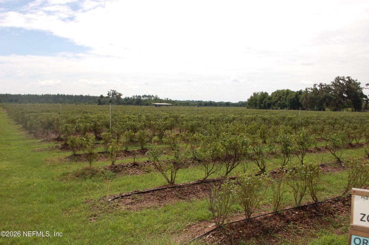 18811 SE 243rd Street, Hawthorne, FL 32640 Photo