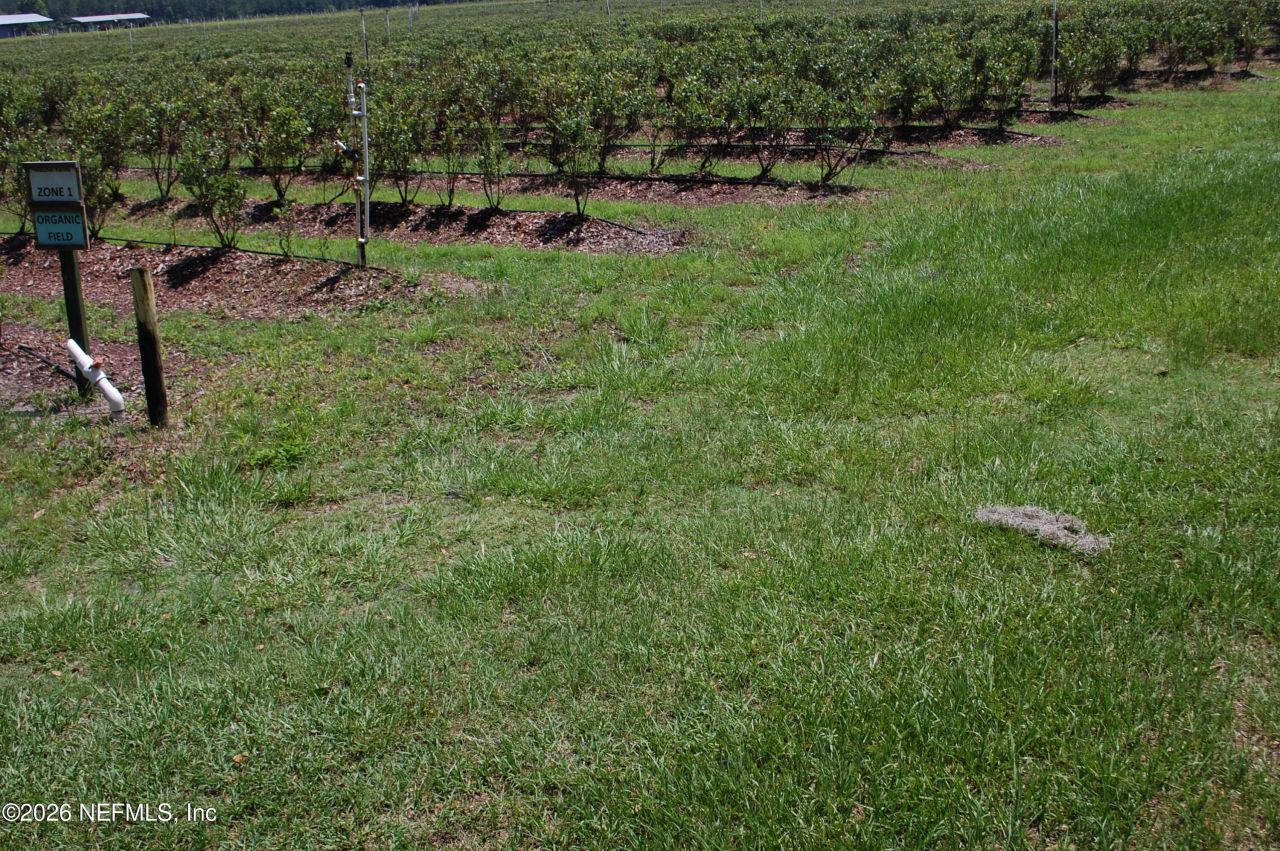 18811 SE 243rd Street, Hawthorne, FL 32640 Photo