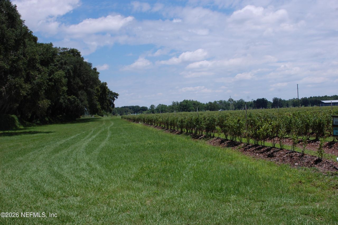 18811 SE 243rd Street, Hawthorne, FL 32640 Photo