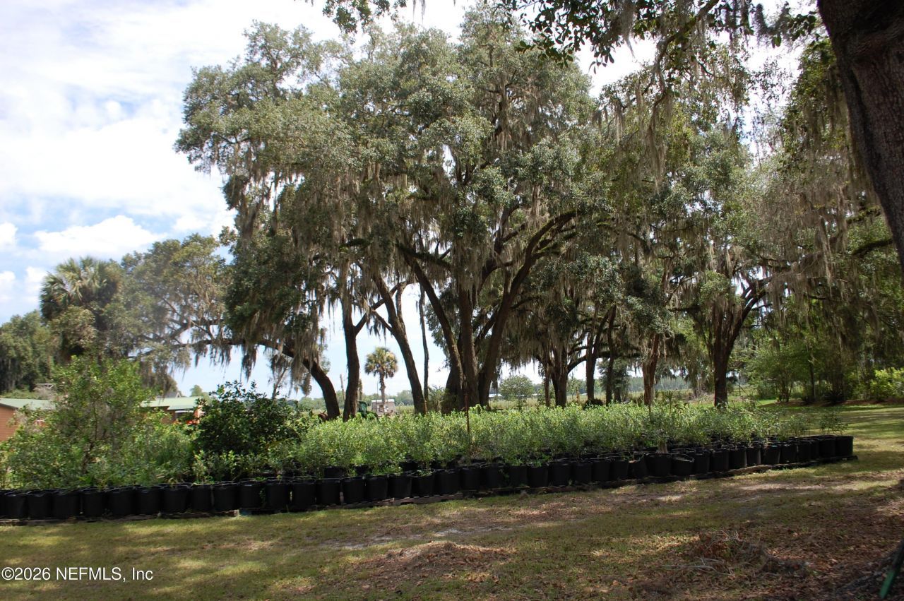 18811 SE 243rd Street, Hawthorne, FL 32640 Photo