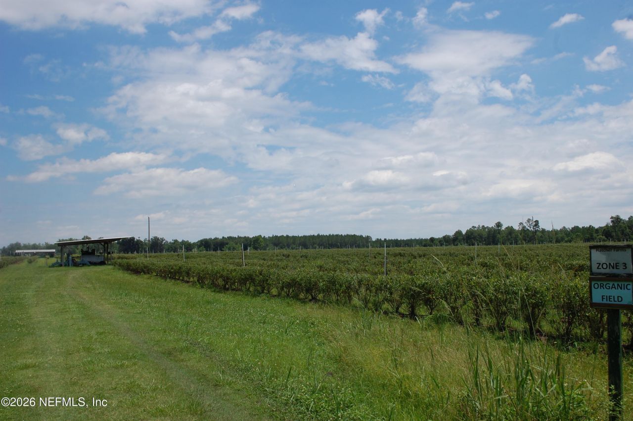 18811 SE 243rd Street, Hawthorne, FL 32640 Photo