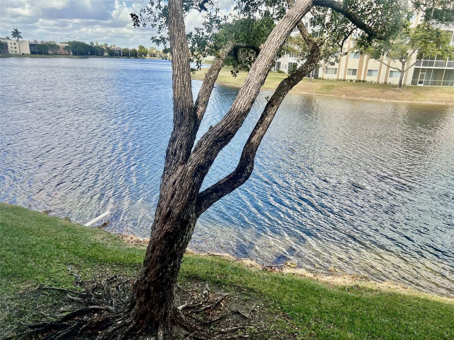 7426 Ashmont Cir, Unit 211, Tamarac, FL 33321 Photo