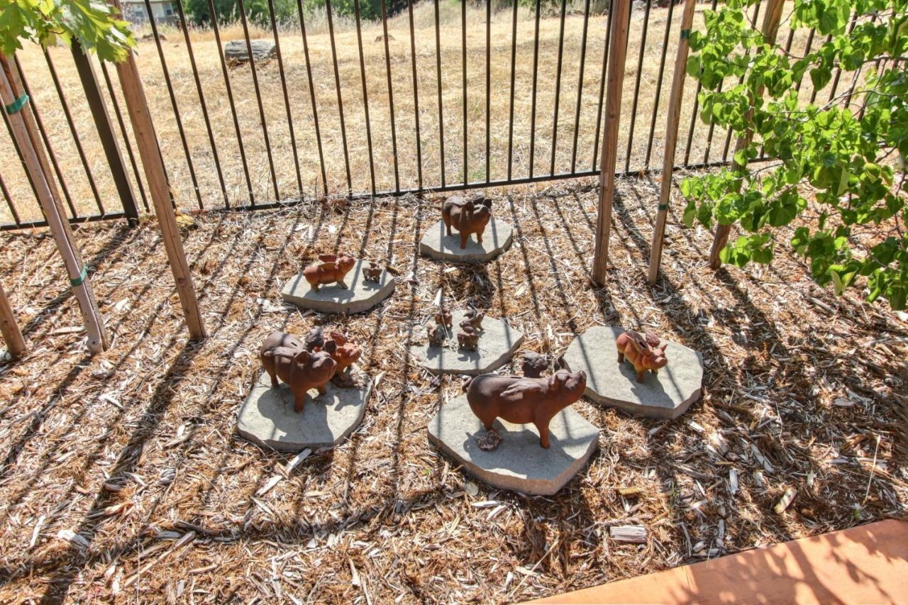 1333 Villagio Dr, El Dorado Hills, CA 95762 Photo