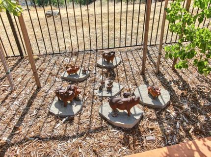 1333 Villagio Dr, El Dorado Hills, CA 95762 Photo