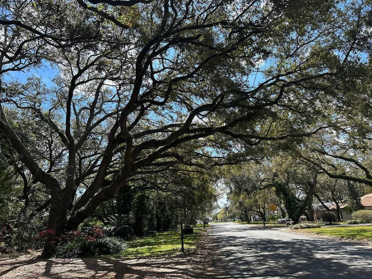 8427 Cranes Roost Drive, New Port Richey, FL 34654 Photo