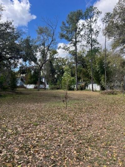 7208 N 12th Street , Tampa, FL 33604 Photo