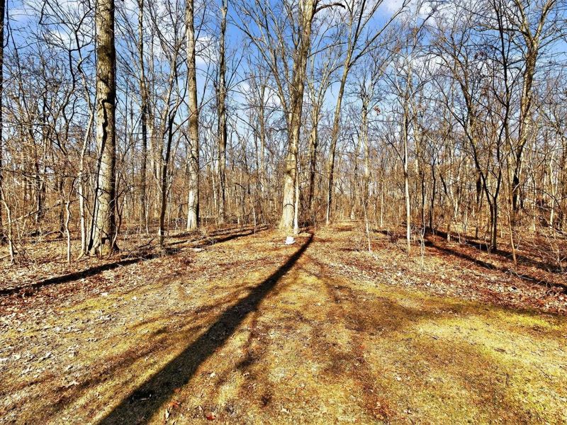 3734 Warrensburg Road , Delaware, OH 43015 Photo 70