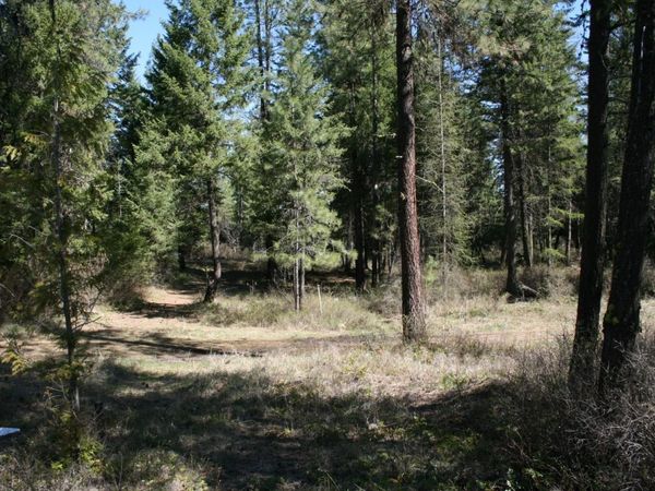 XX Bowler Rd, Springdale, WA 99173