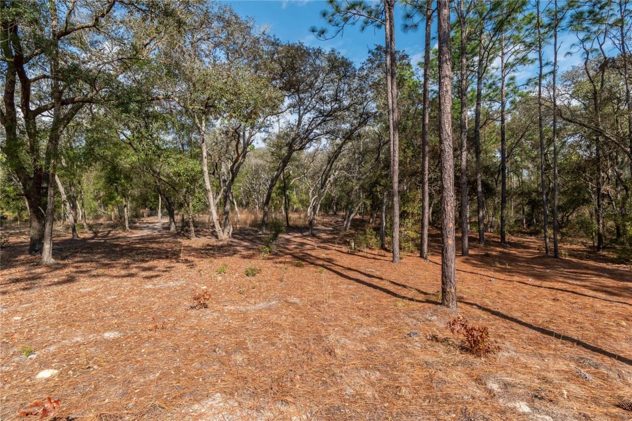 20687 SW 59th Lane , Dunnellon, FL 34431 Photo