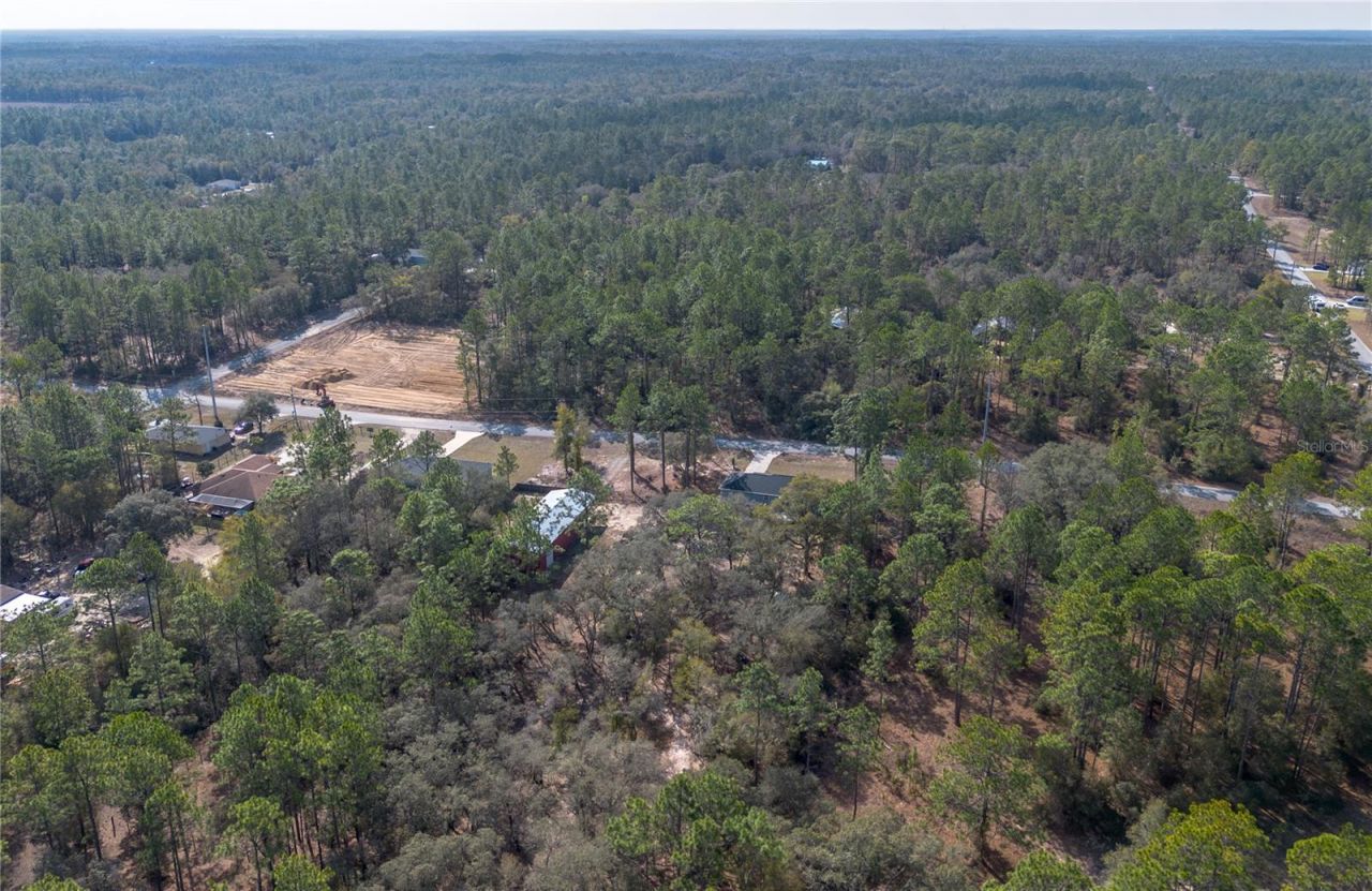 20687 SW 59th Lane , Dunnellon, FL 34431 Photo