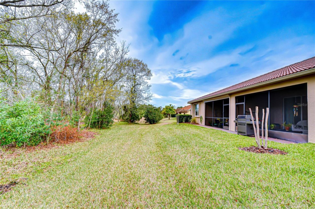 16158 Amethyst Key Drive , Wimauma, FL 33598 Photo