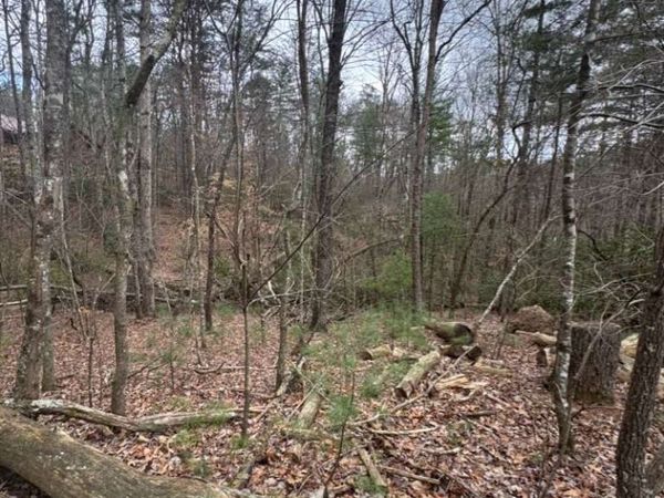 LOT 16R Leatherwood Mountain Road, Cherry Log, GA 30522