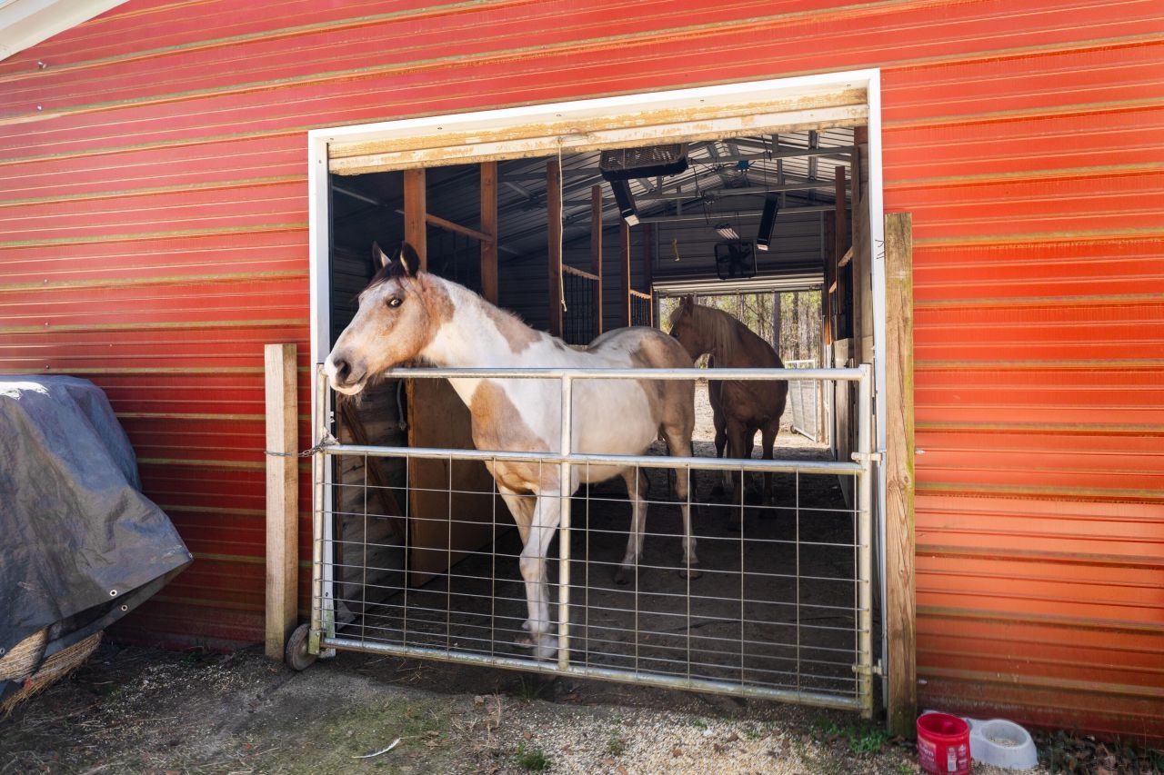 371 Rhode Drive Photo 59