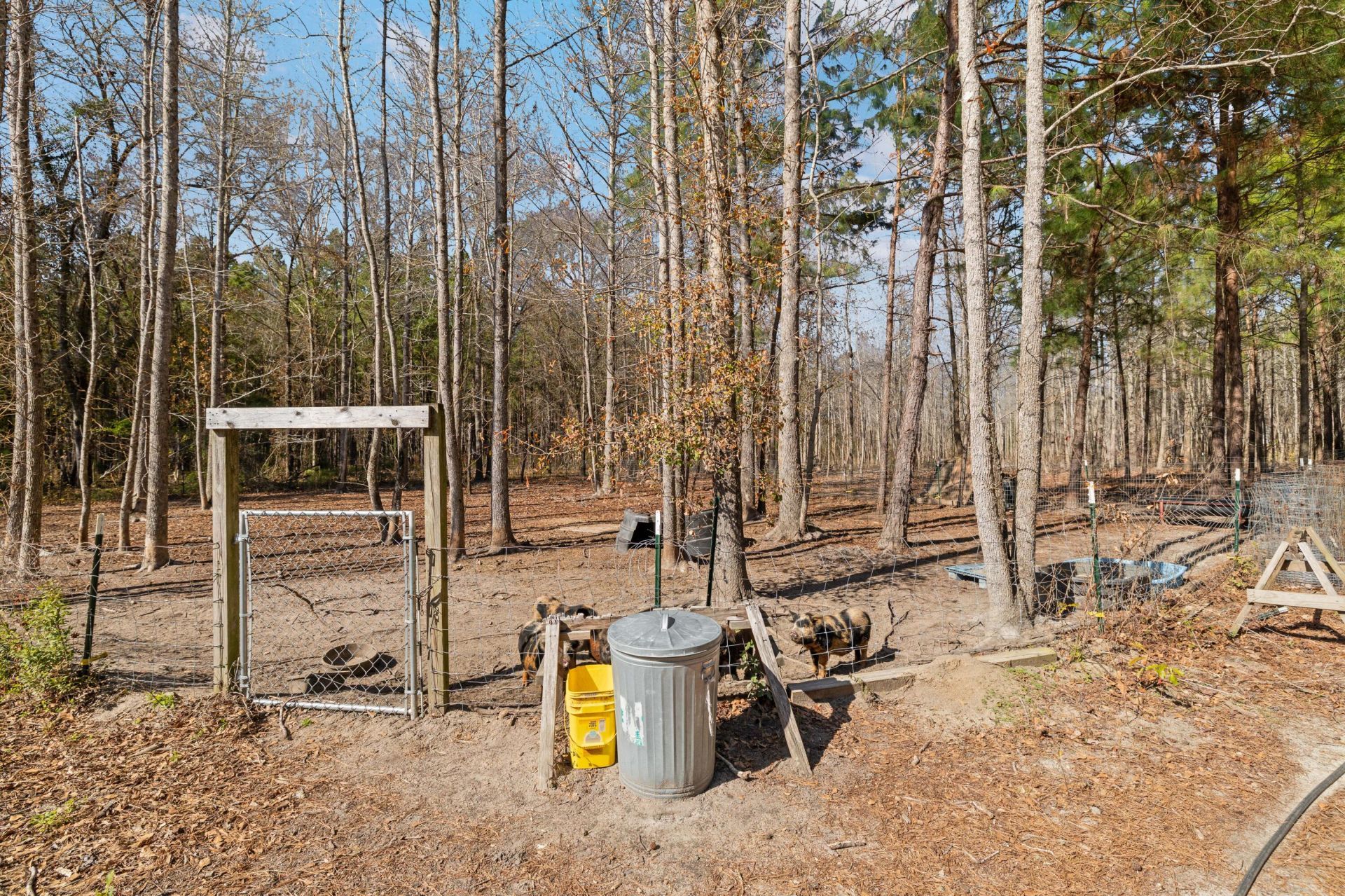 371 Rhode Drive Photo 67