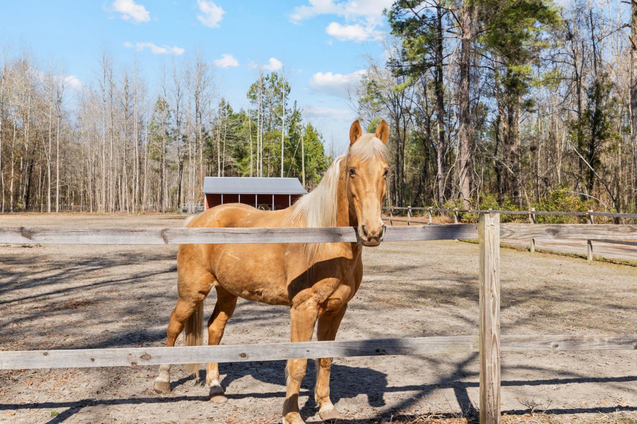 371 Rhode Drive Photo 8