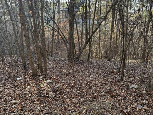 TBD Old Factory Site Road, Murfreesboro, AR 71958