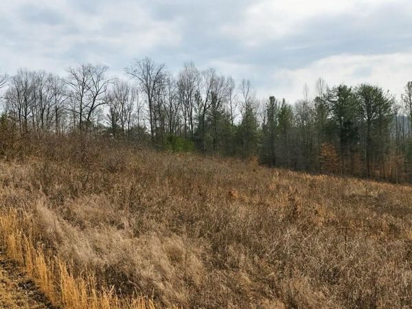 TBD Pinnacle Pointe Way, Sharps Chapel, TN 37866