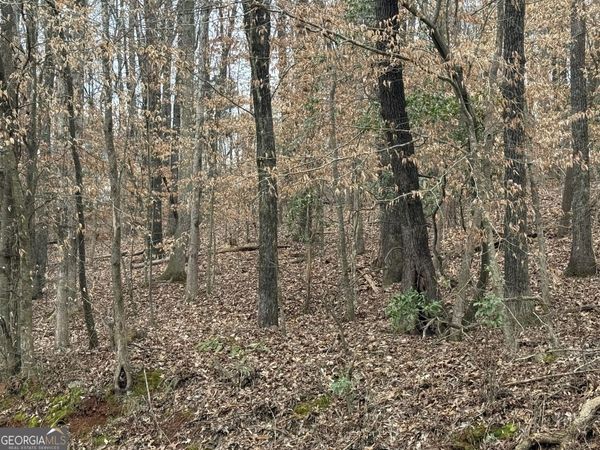 4600 E Reed Road, Gainesville, GA 30507