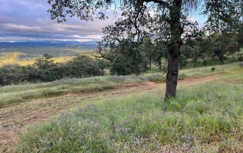 2460 Sulkey Ct, Copperopolis, CA 95228 Photo