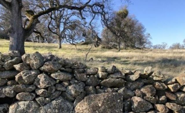 2460 Sulkey Ct, Copperopolis, CA 95228 Photo