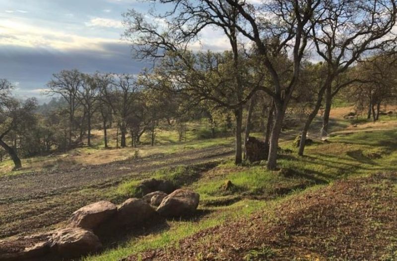 2460 Sulkey Ct, Copperopolis, CA 95228 Photo