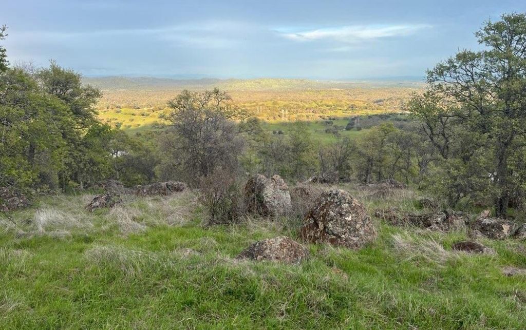 2460 Sulkey Ct, Copperopolis, CA 95228 Photo