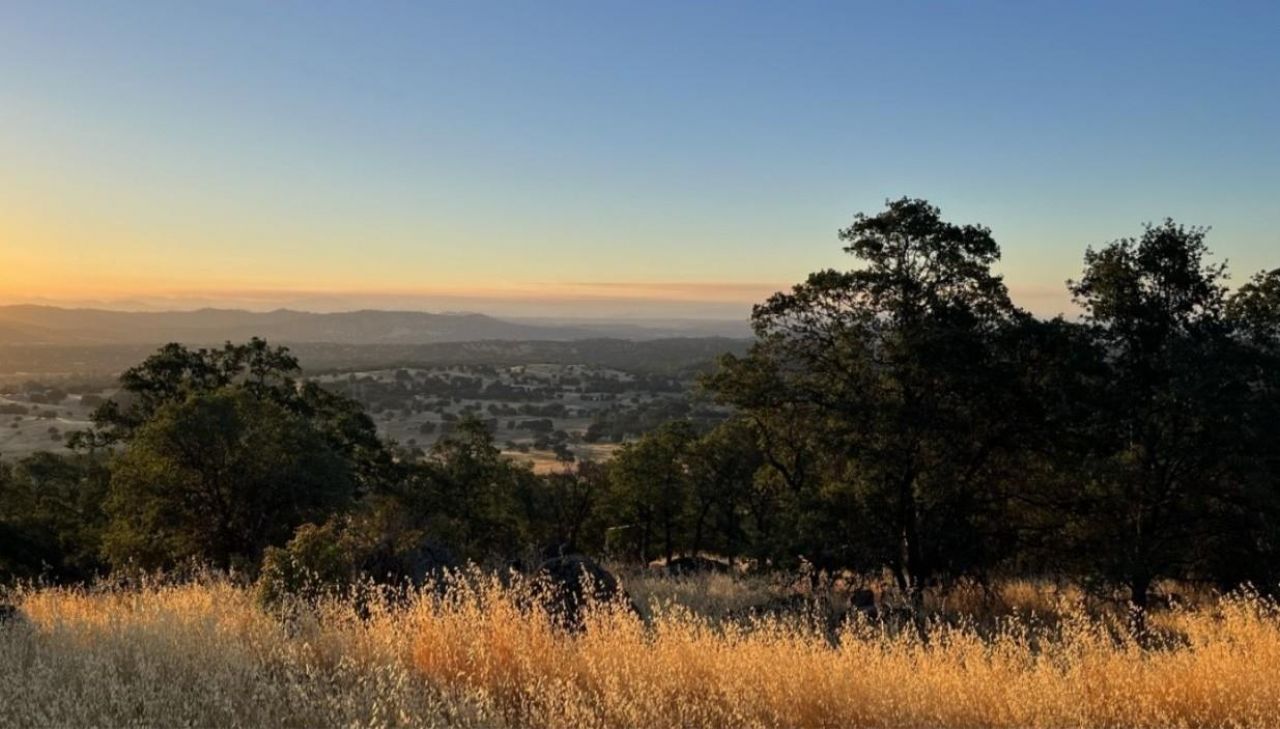 2460 Sulkey Ct, Copperopolis, CA 95228 Photo