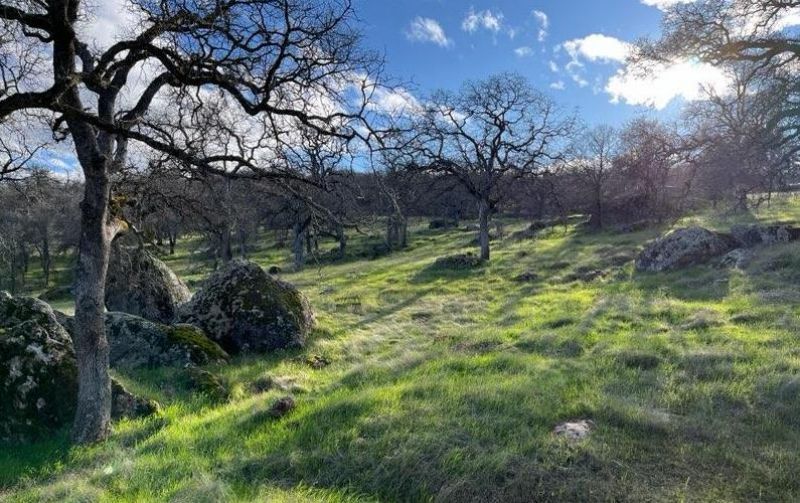 2460 Sulkey Ct, Copperopolis, CA 95228 Photo