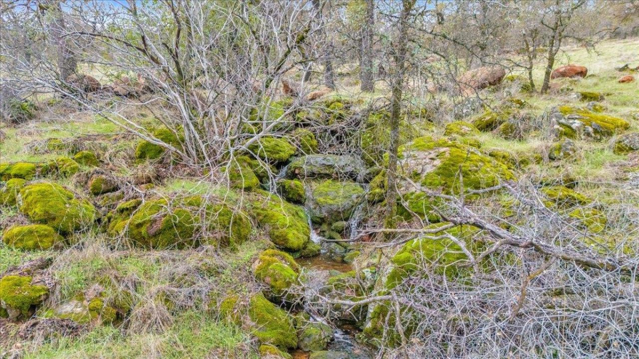 2460 Sulkey Ct, Copperopolis, CA 95228 Photo