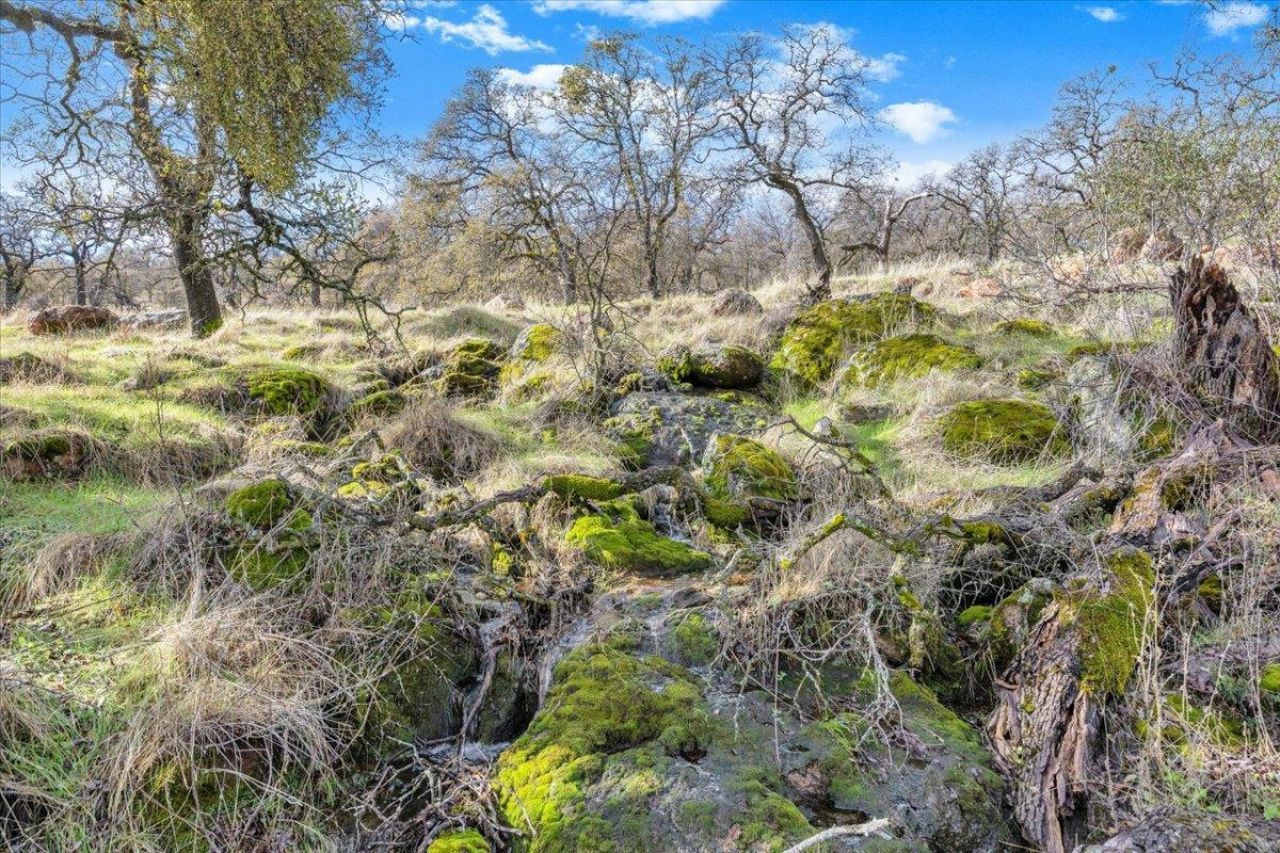 2460 Sulkey Ct, Copperopolis, CA 95228 Photo