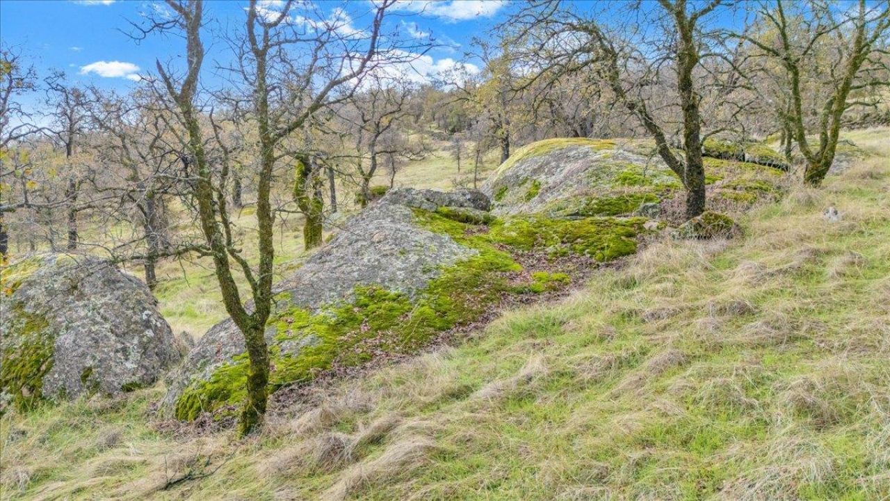 2460 Sulkey Ct, Copperopolis, CA 95228 Photo