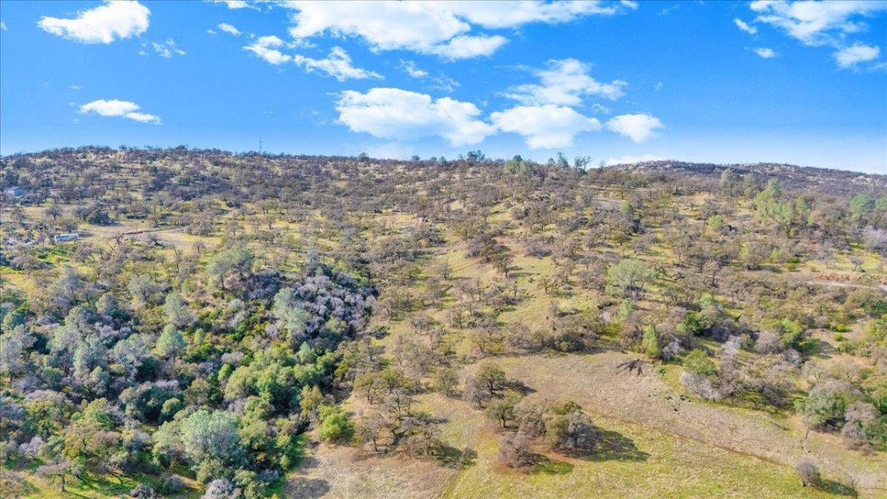 2460 Sulkey Ct, Copperopolis, CA 95228 Photo