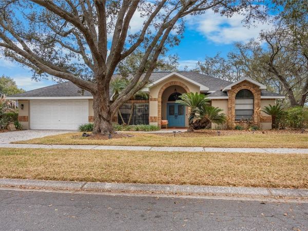 1619 PALACE COURT, VALRICO, FL 33594