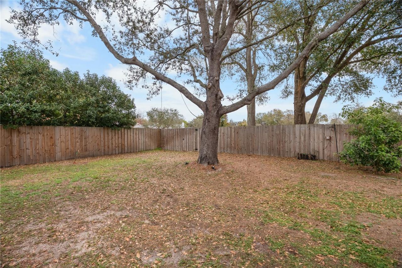 1619 Palace Court, Valrico, FL 33594 Photo