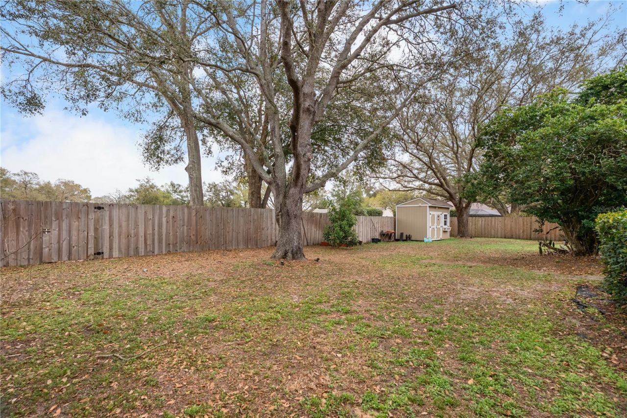 1619 Palace Court, Valrico, FL 33594 Photo