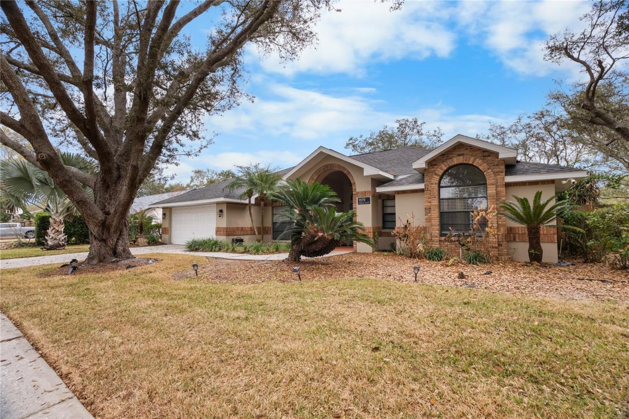 1619 Palace Court, Valrico, FL 33594 Photo