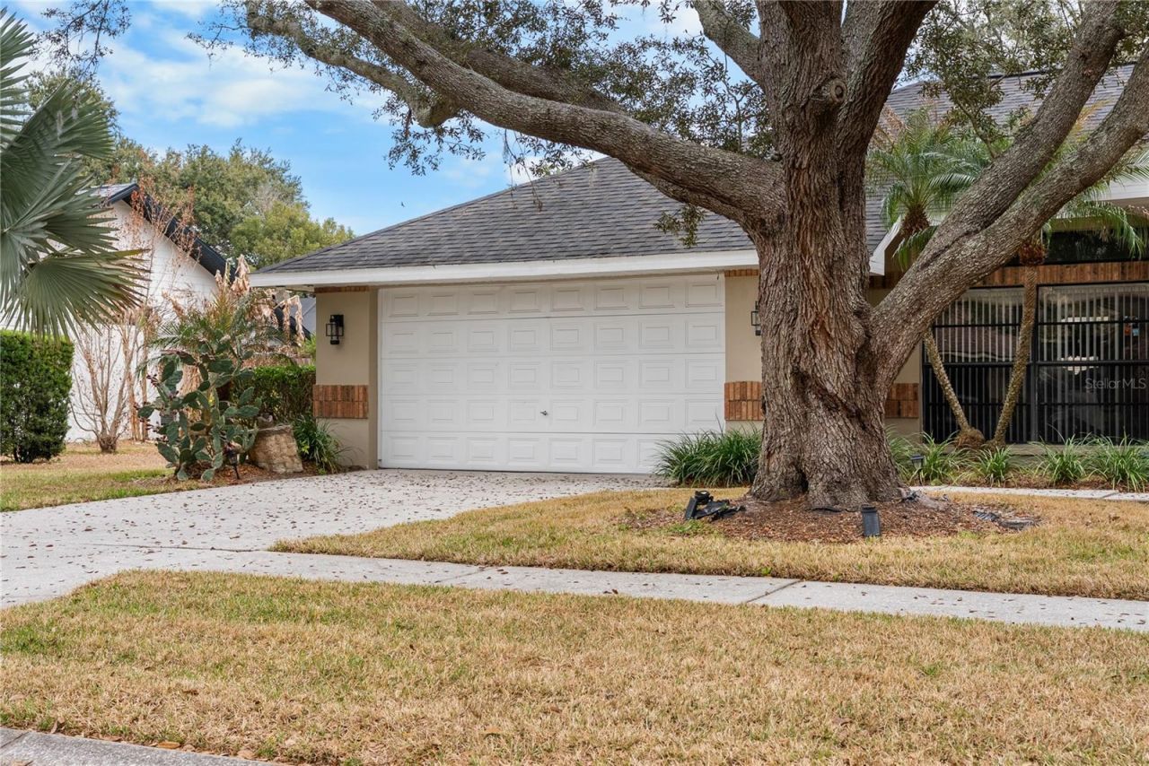 1619 Palace Court, Valrico, FL 33594 Photo