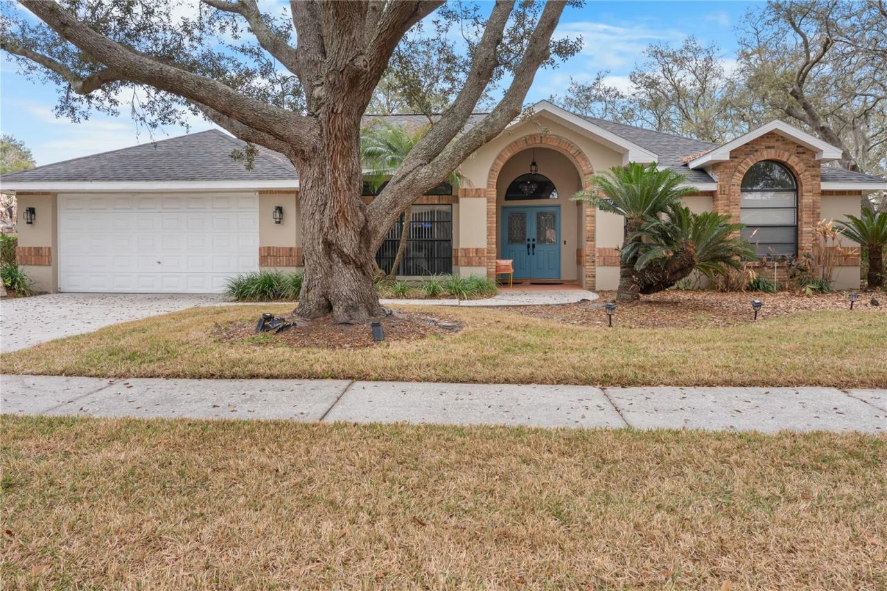 1619 Palace Court, Valrico, FL 33594 Photo