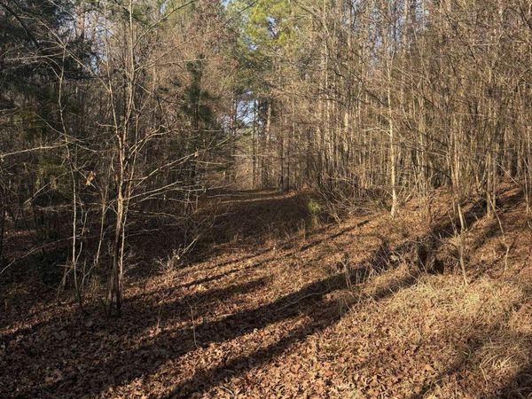 TBD Old Factory Site Road , Murfreesboro, AR 71958