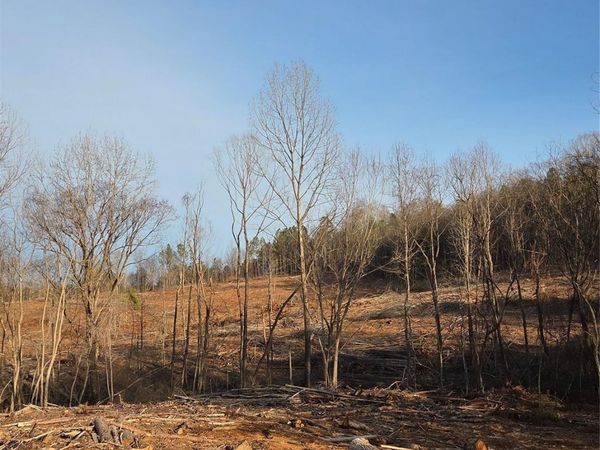 VACANT LAND Pole Running Road , Mount Pleasant, NC 28124