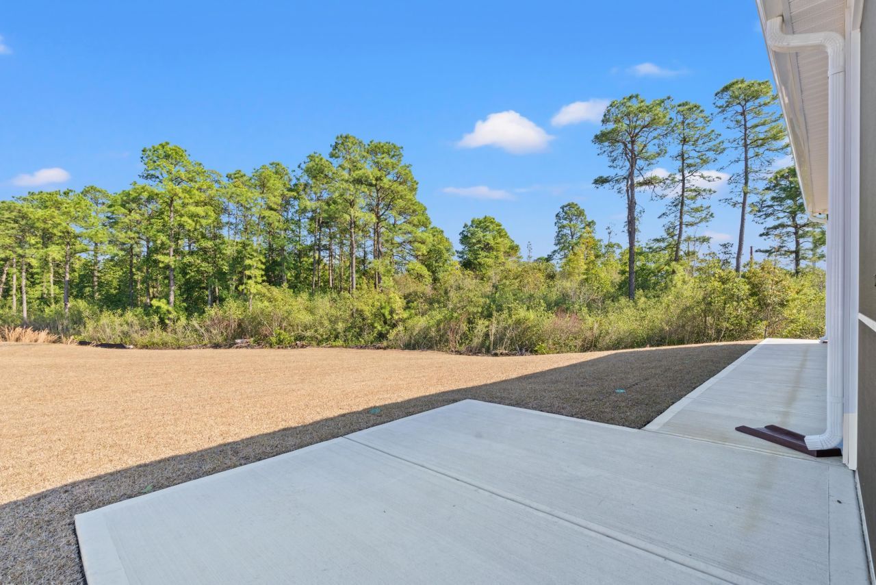 3599 Ashridge Way  Photo 41