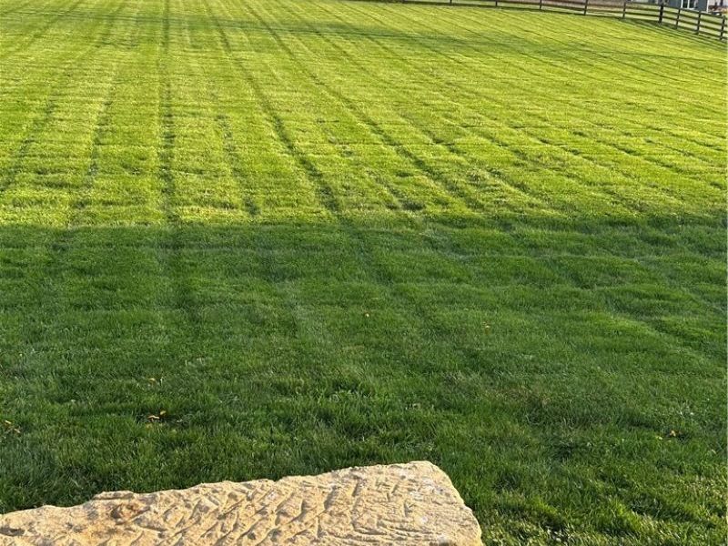 6050 Township Road 606, Fredericksburg, OH 44627 Photo 39