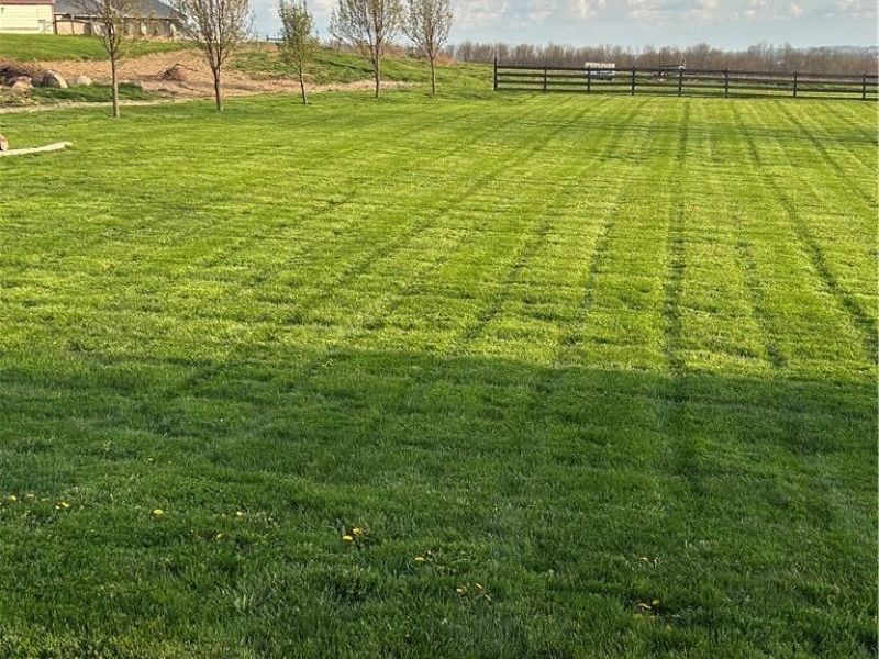 6050 Township Road 606, Fredericksburg, OH 44627 Photo 40