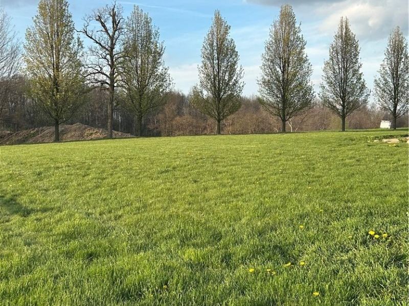 6050 Township Road 606, Fredericksburg, OH 44627 Photo 41