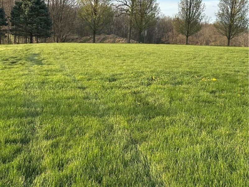 6050 Township Road 606, Fredericksburg, OH 44627 Photo 43