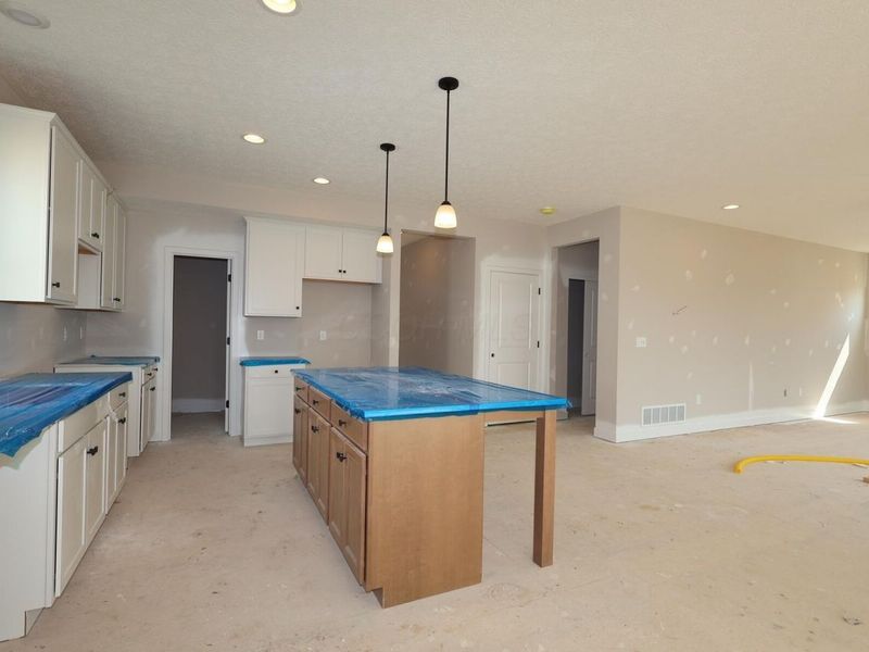 355 Buck Valley Drive, Galena, OH 43021 Photo 3