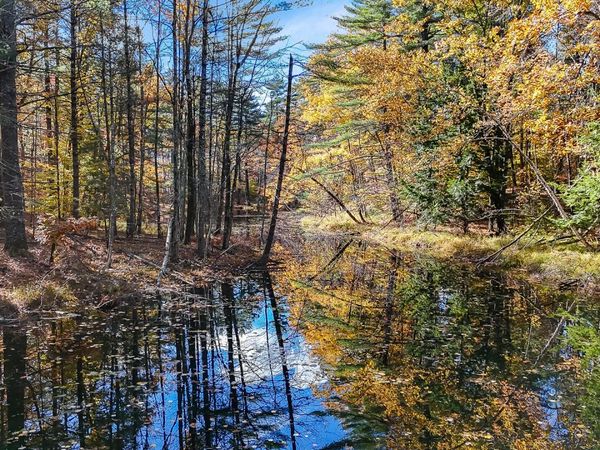 60 Sequoia Lane, Waterboro, ME 04061