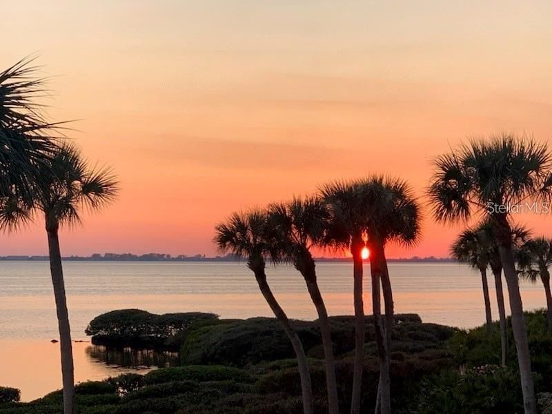 6470 Mourning Dove Drive, Unit 203, Bradenton, FL 34210 Photo