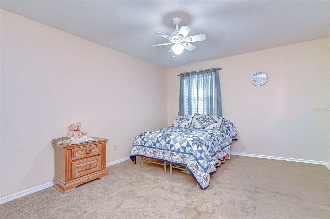 37416 Teaberry Loop, Zephyrhills, FL 33542 Photo