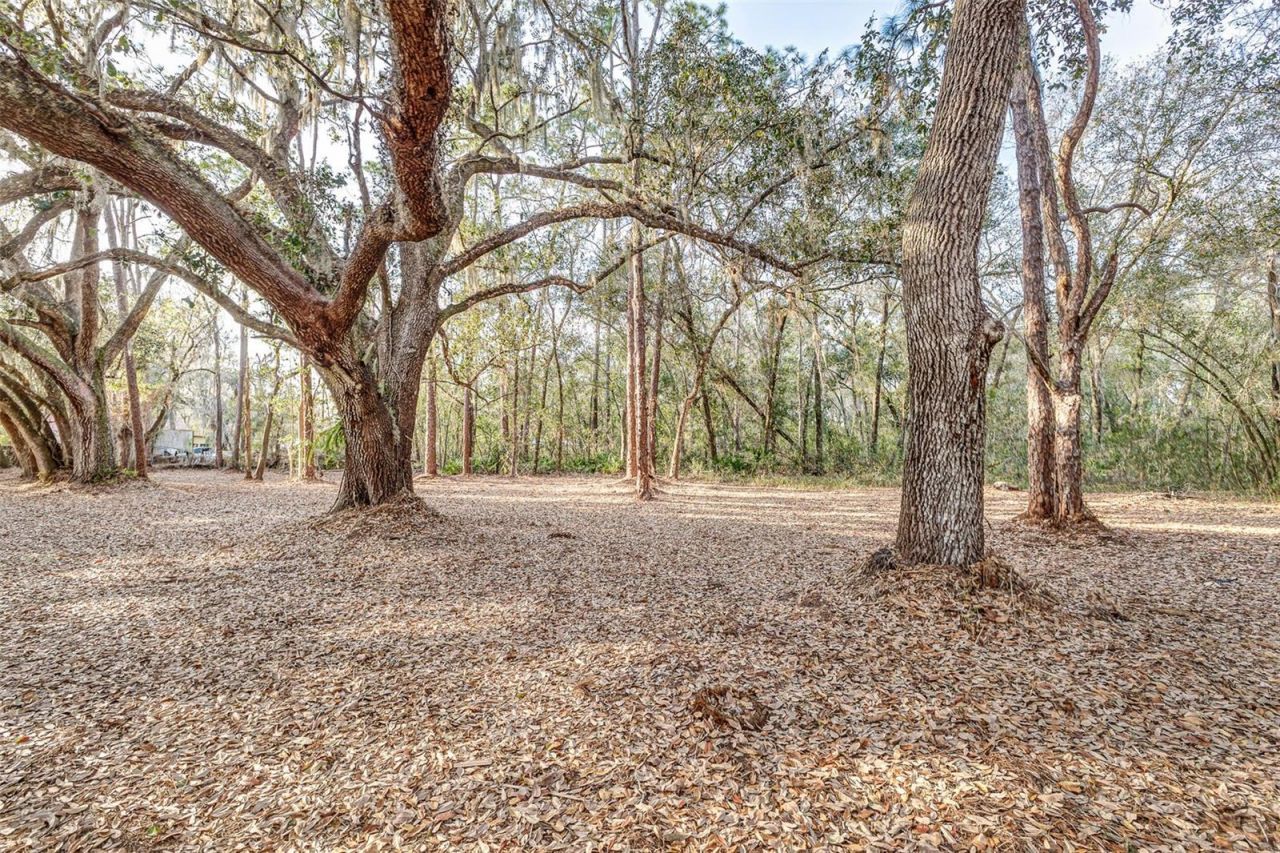 3115 W 10th Street , Lakeland, FL 33810 Photo